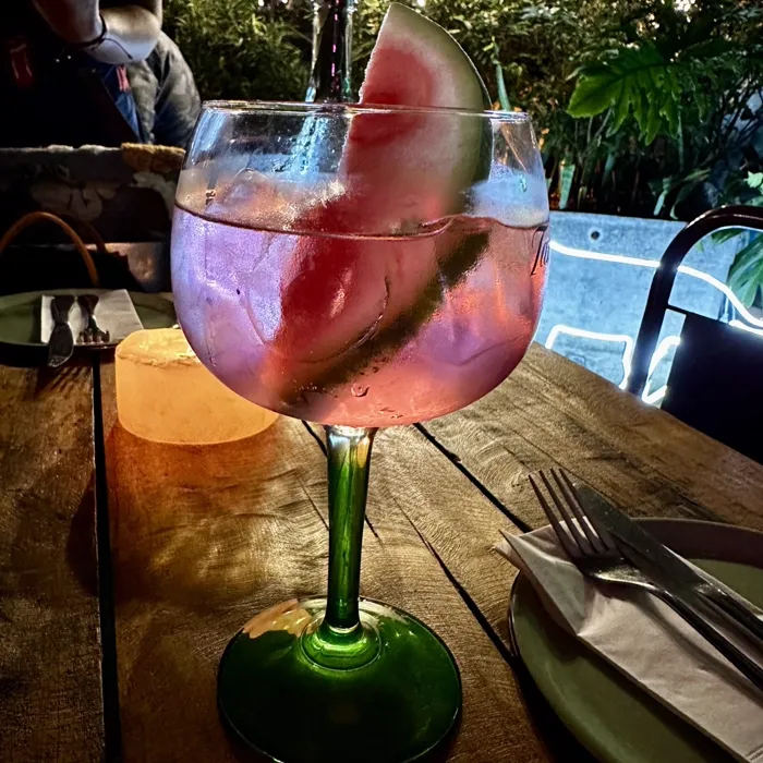 Gin-tônica de melancia em taça balão com fatia da fruta na borda